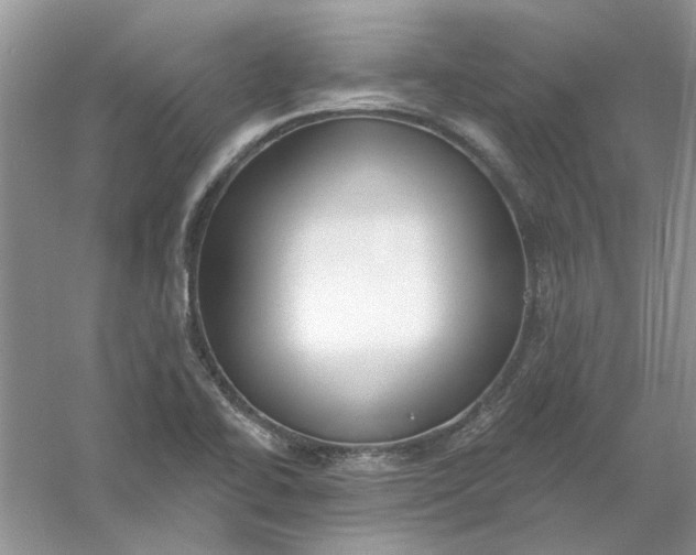 X0000061101414200512022046