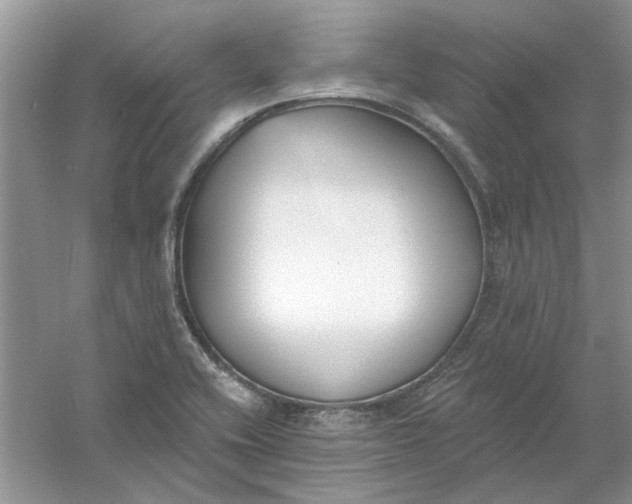 X0000061101416200512022046