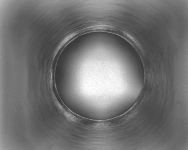 X0000061101418200512022046