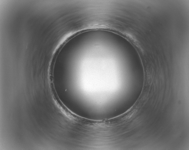 X0000061101422200512022046