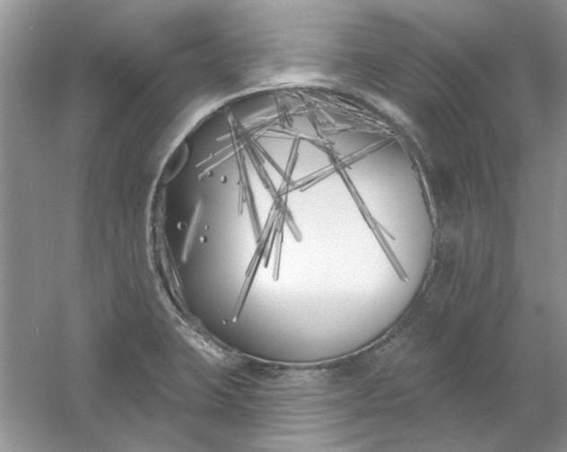 X0000061101423200512022046
