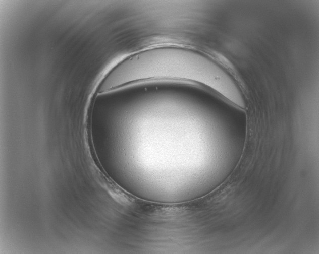 X0000061101427200512022047