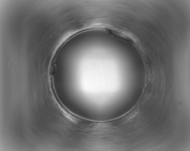 X0000061101430200512022047