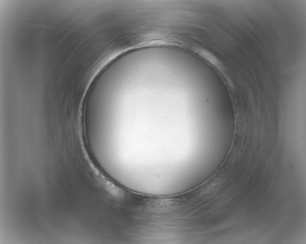 X0000061101431200512022047