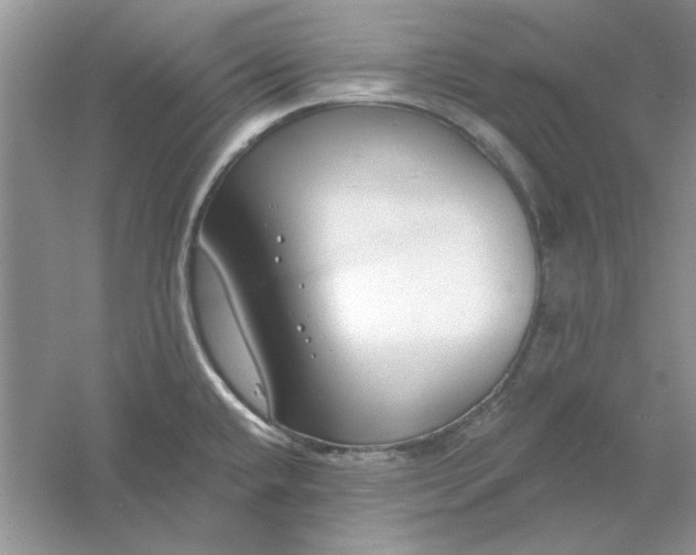 X0000061101432200512022047