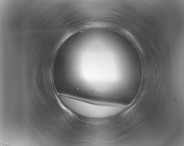 X0000061101433200512022047