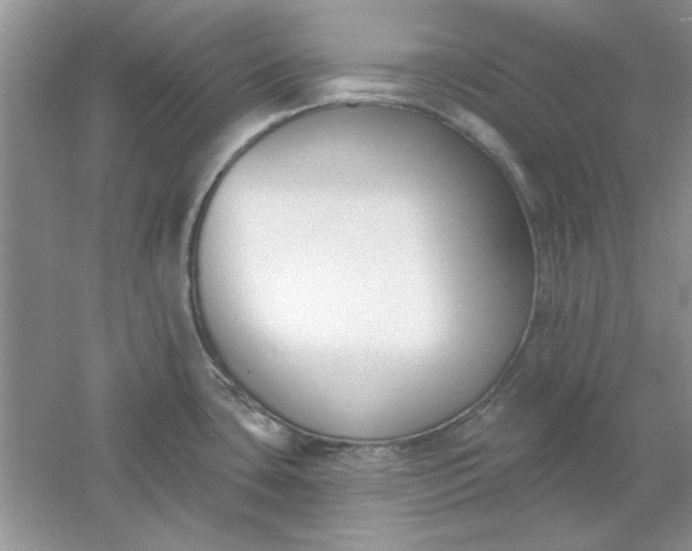 X0000061101435200512022047