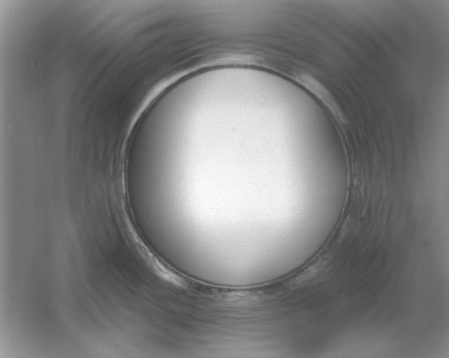 X0000061101436200512022047