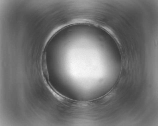 X0000061101438200512022047