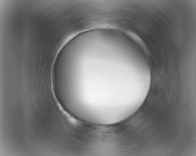 X0000061101439200512022047