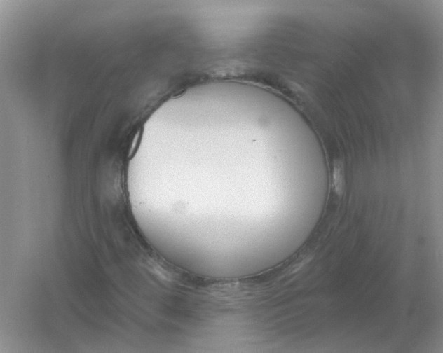 X0000061101444200512022046