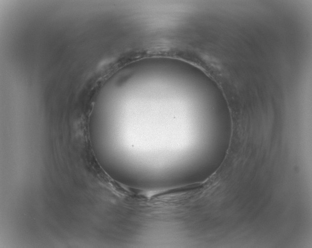 X0000061101445200512022046