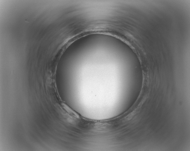 X0000061101449200512022046