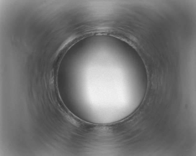 X0000061101450200512022046