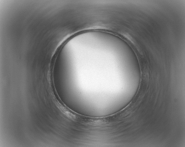 X0000061101460200512022046