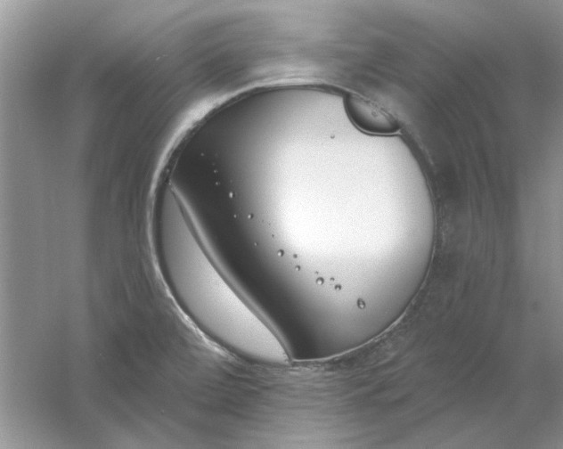 X0000061101472200512022045