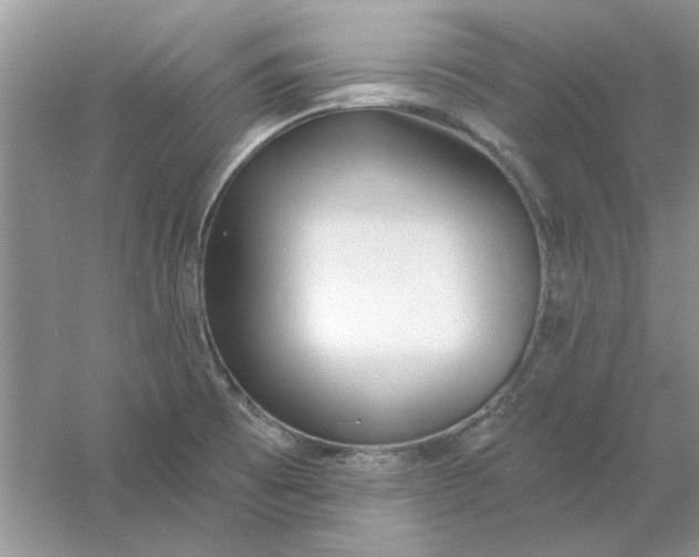 X0000061101473200512022045