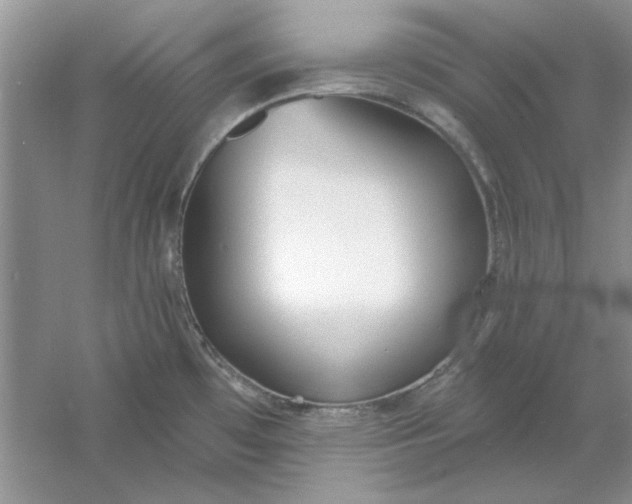 X0000061101481200512022045