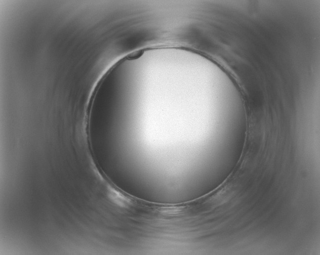 X0000061101484200512022045