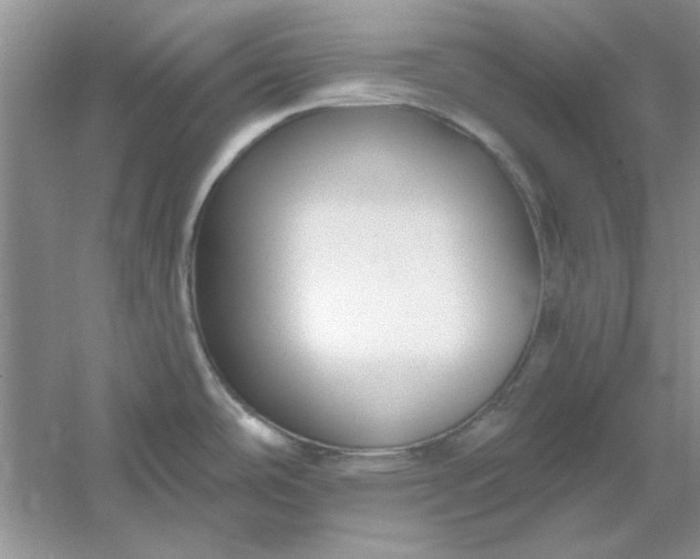 X0000061101486200512022045