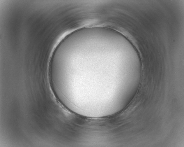 X0000061101488200512022045