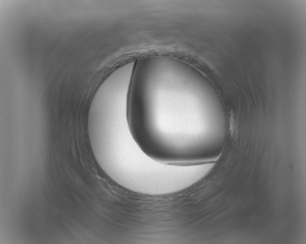 X0000061101492200512022044