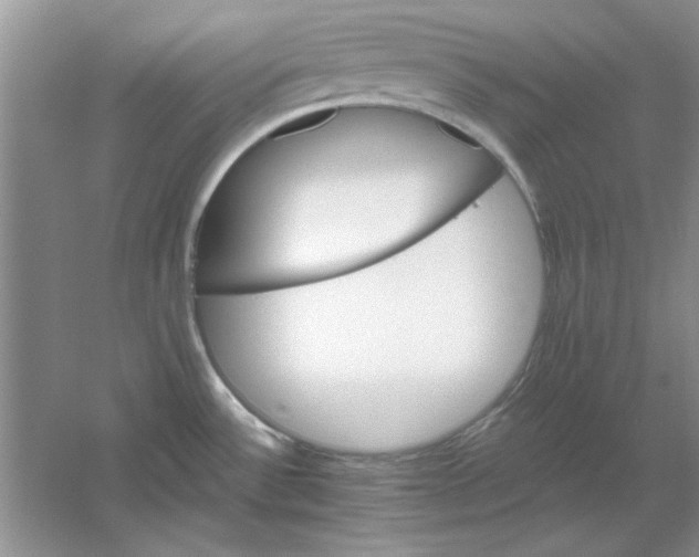 X0000061101532200512022045
