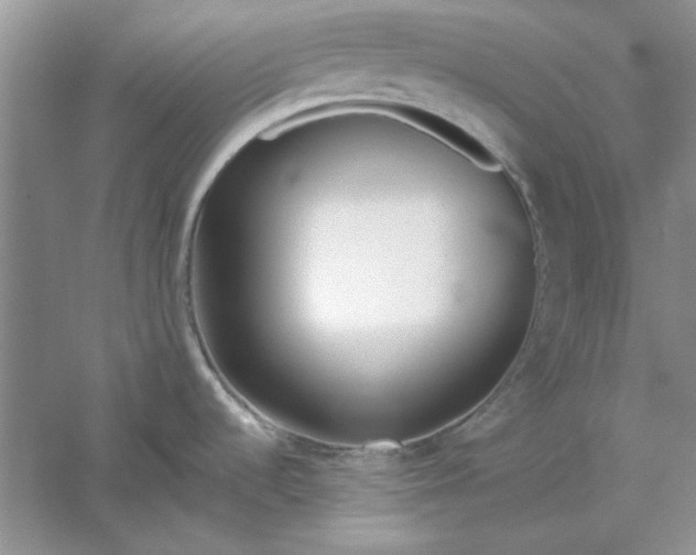 X0000061101536200512022045
