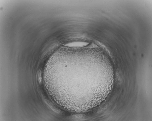 X0000061100069200512091802