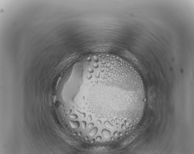 X0000061100161200512091801