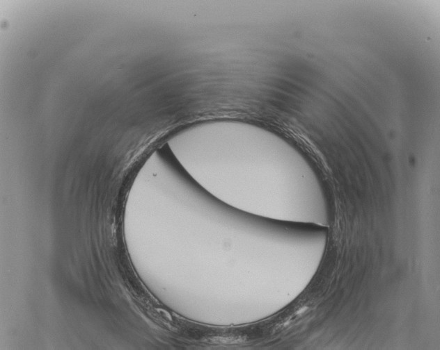 X0000061100251200512091759