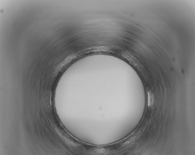 X0000061100253200512091759