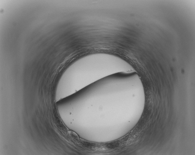X0000061100262200512091759
