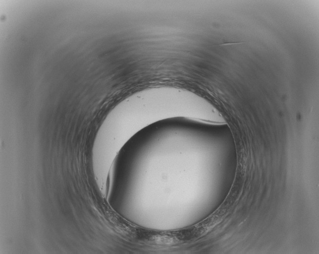 X0000061100272200512091759