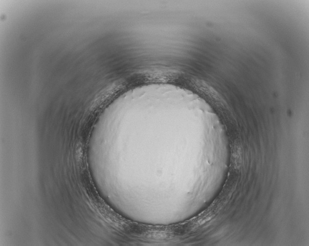 X0000061100314200512091758