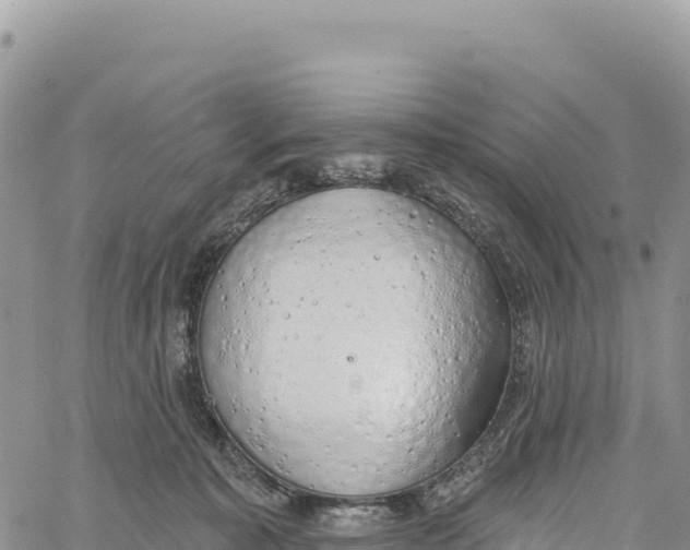 X0000061100323200512091758