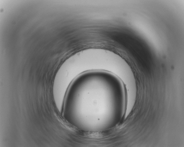 X0000061100383200512091758