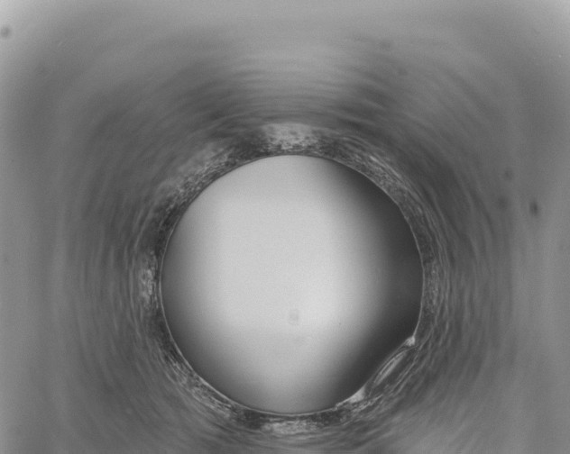 X0000061100417200512091756