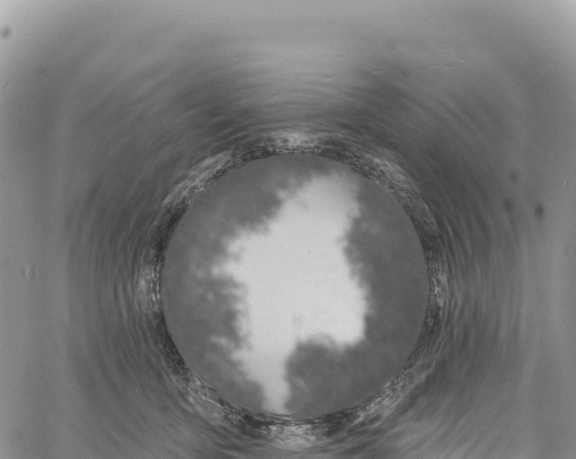 X0000061100419200512091756