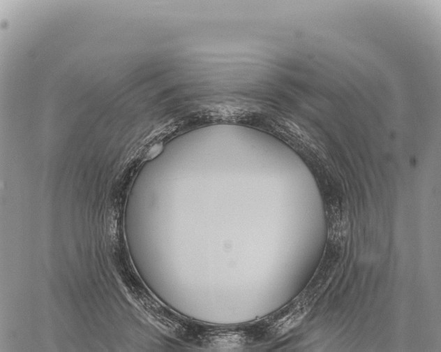 X0000061100456200512091756