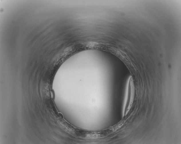 X0000061100470200512091756
