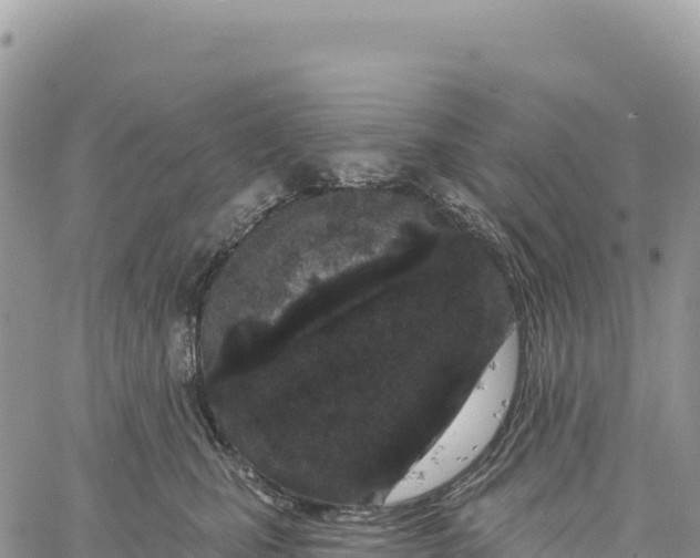 X0000061100471200512091756