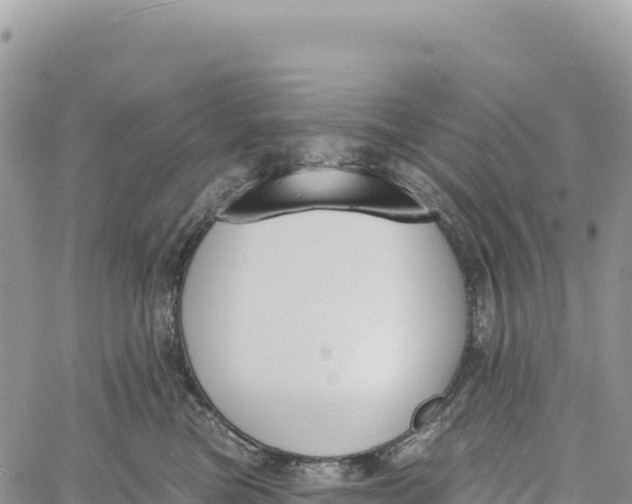 X0000061100473200512091756