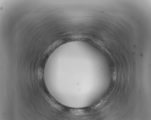 X0000061100476200512091756