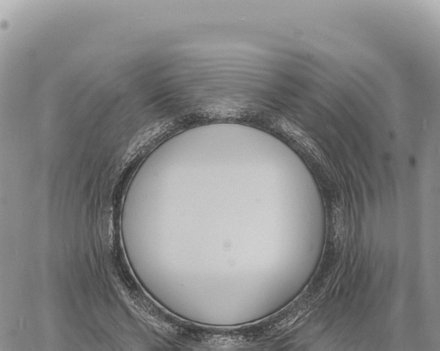 X0000061100494200512091755