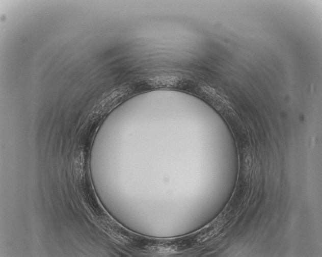 X0000061100498200512091755