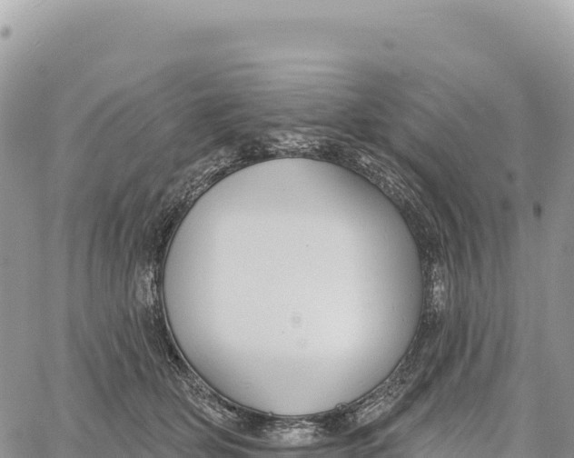 X0000061100514200512091755