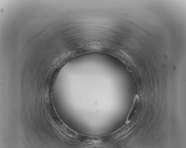X0000061100552200512091754