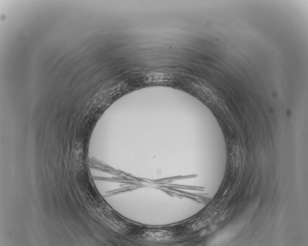 X0000061100557200512091754