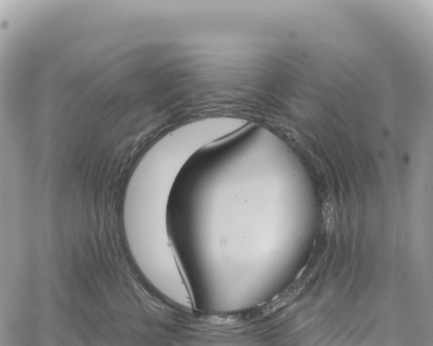 X0000061100570200512091755